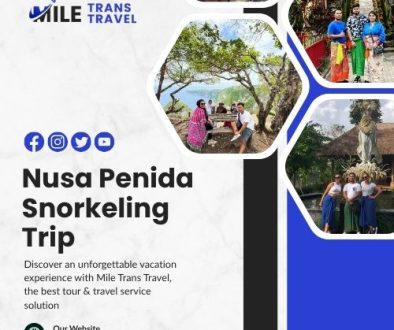 mile trans travel article (3)